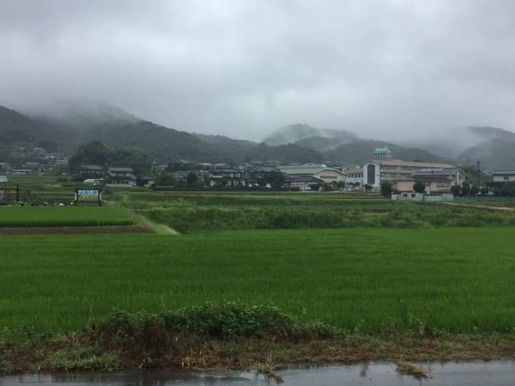 田舎の風景（文：印刷製本部　福本）